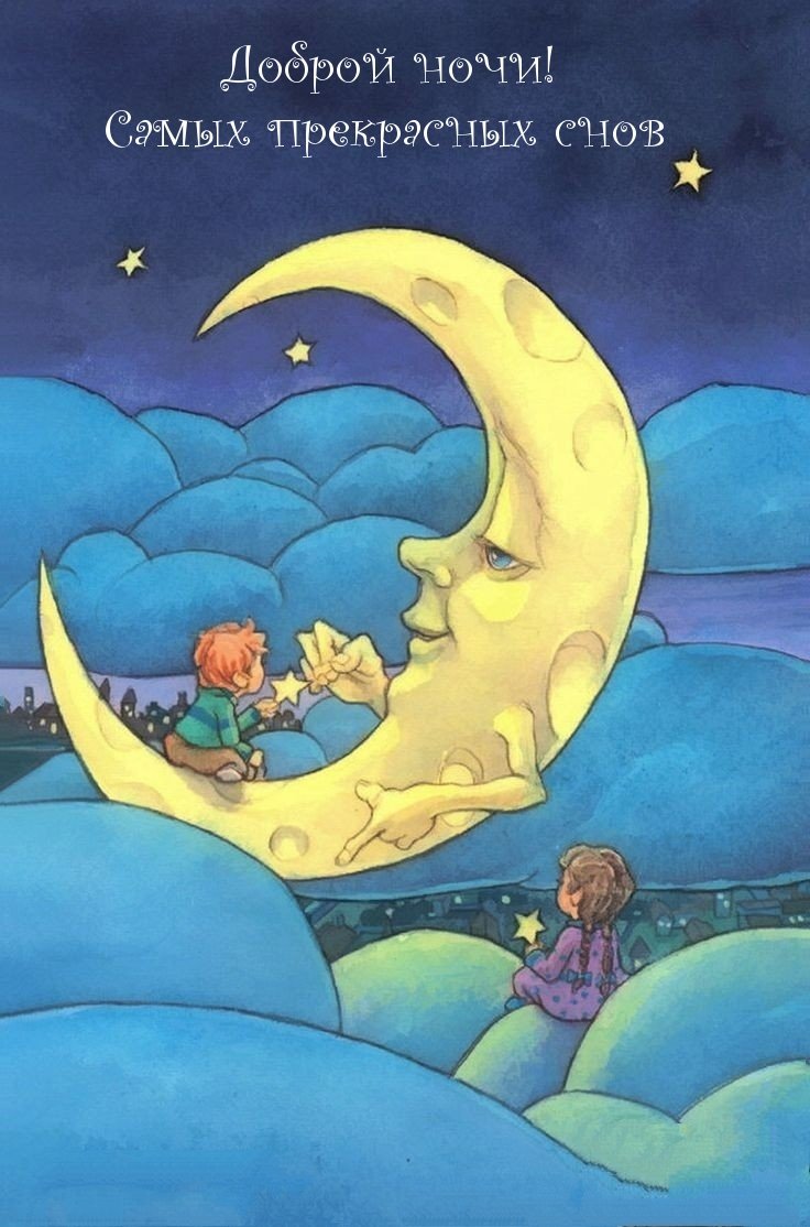 Белый медведь ночью