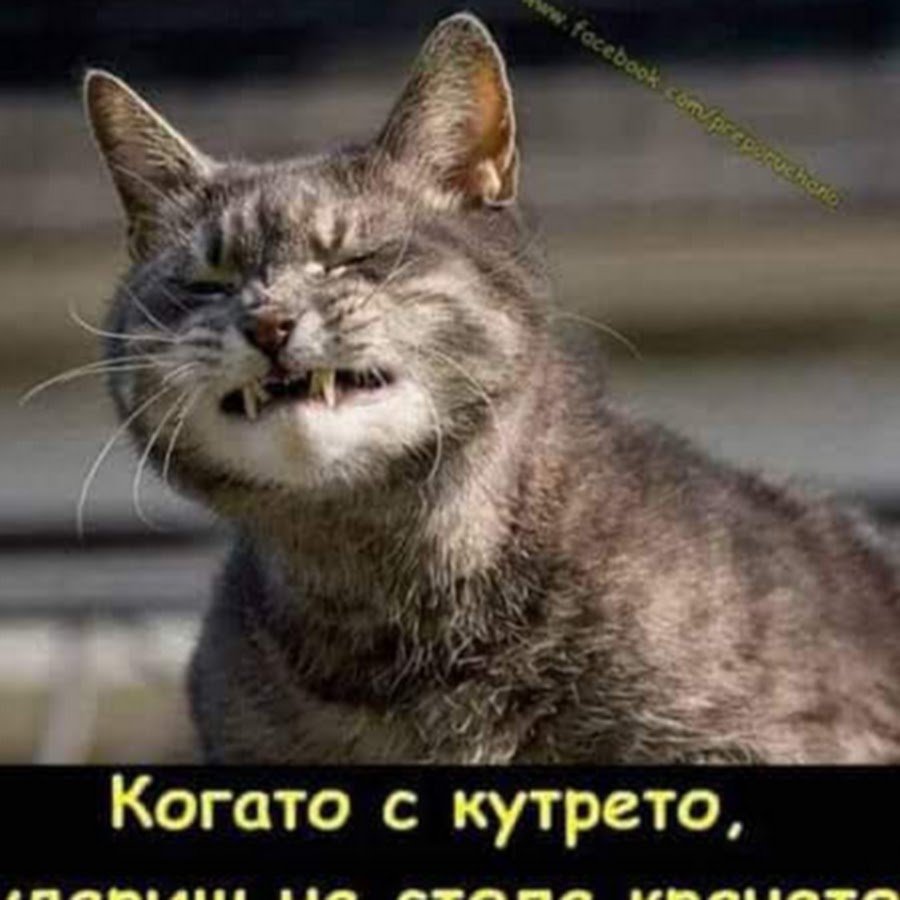 Поздравление с отпуском прикольные