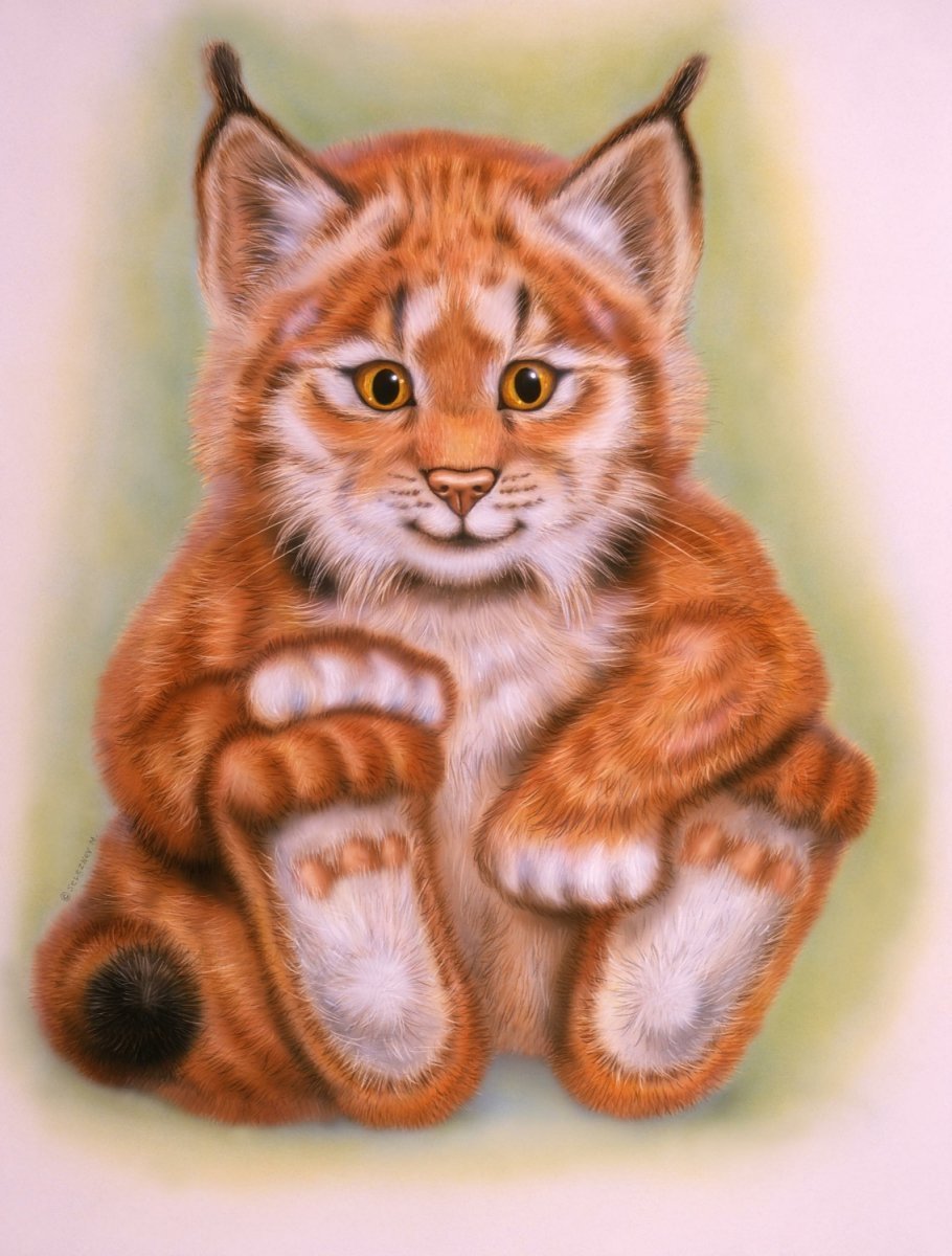 Рисунок Рыся