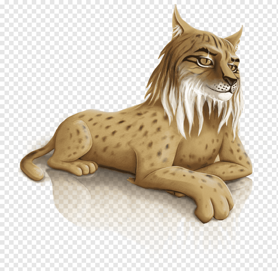 Рысь рисунок