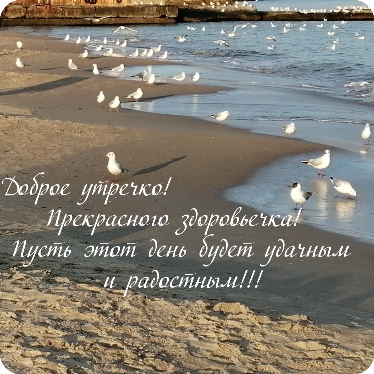 Статусы с добрым утром