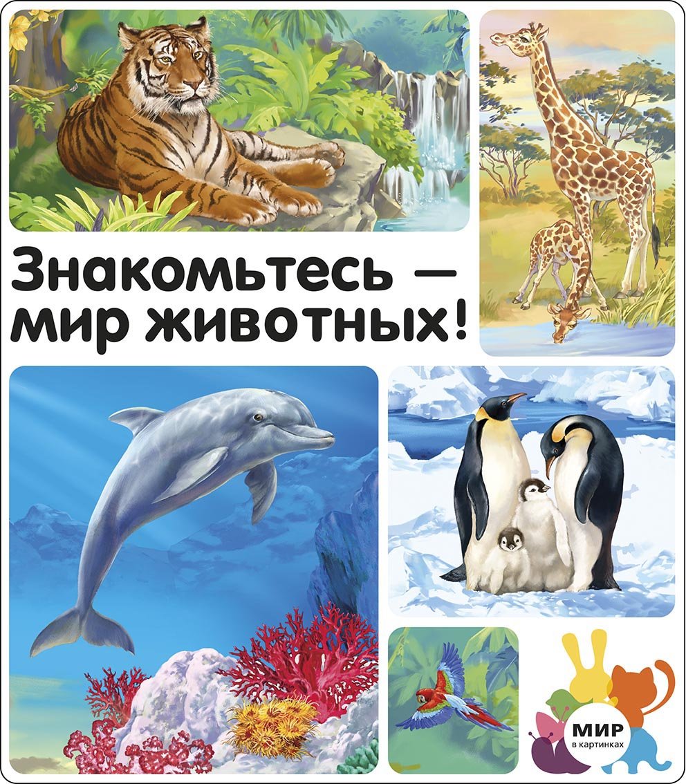 Зачарованный мир волшебные животные