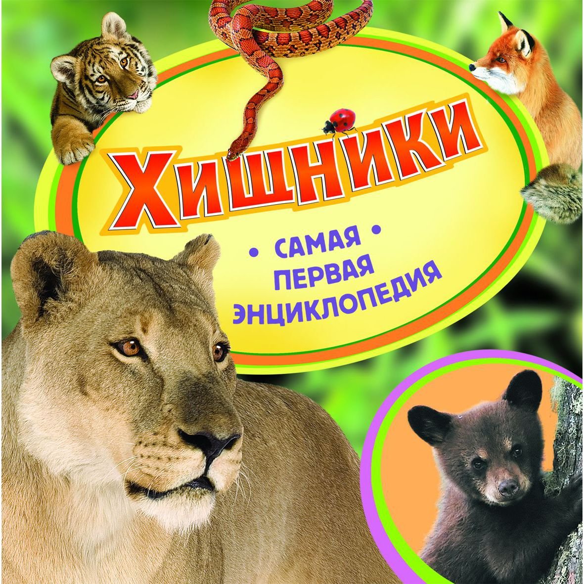 Книга единорогов Кэролин Терджен