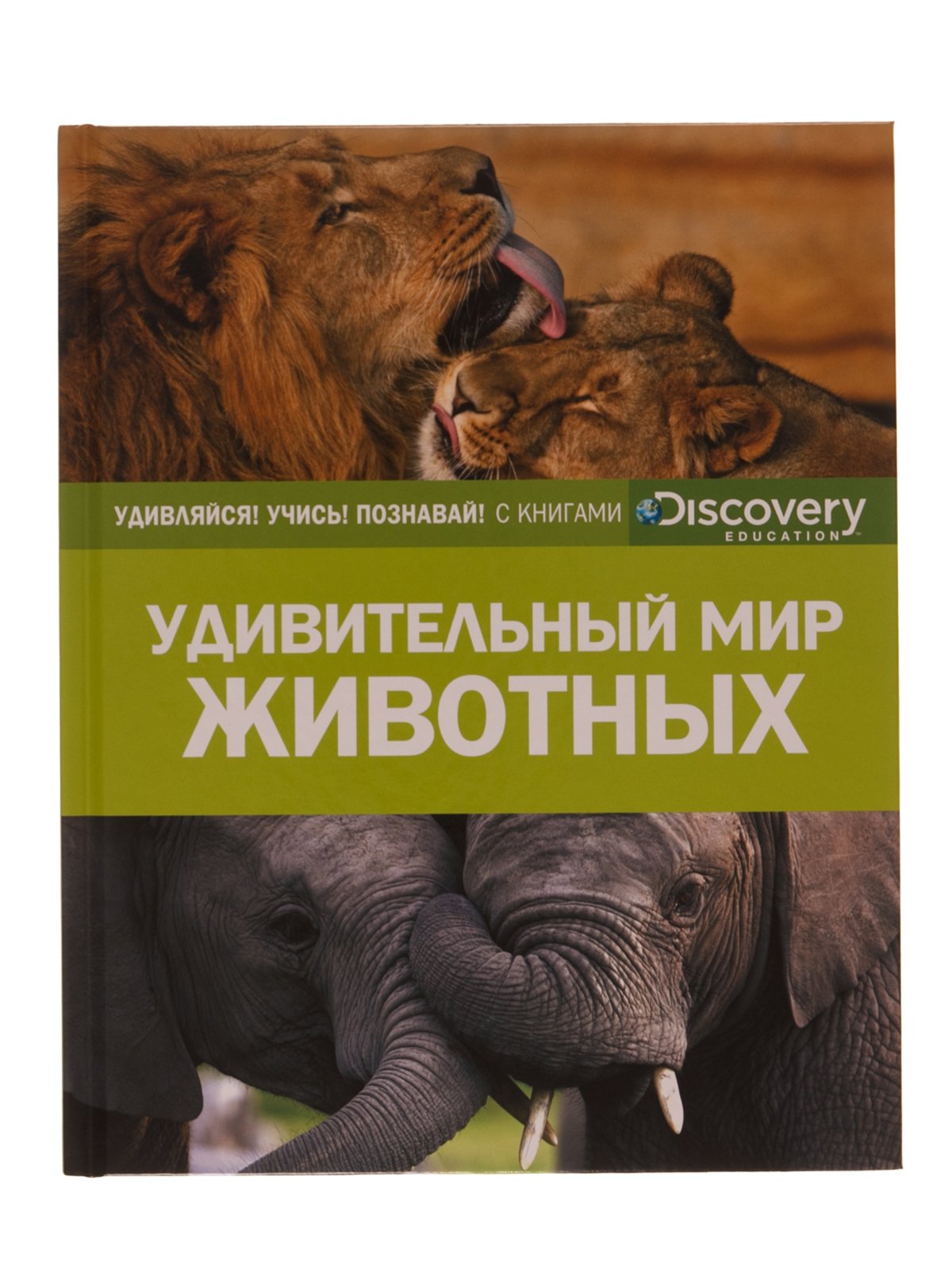Обложка книги мир животных