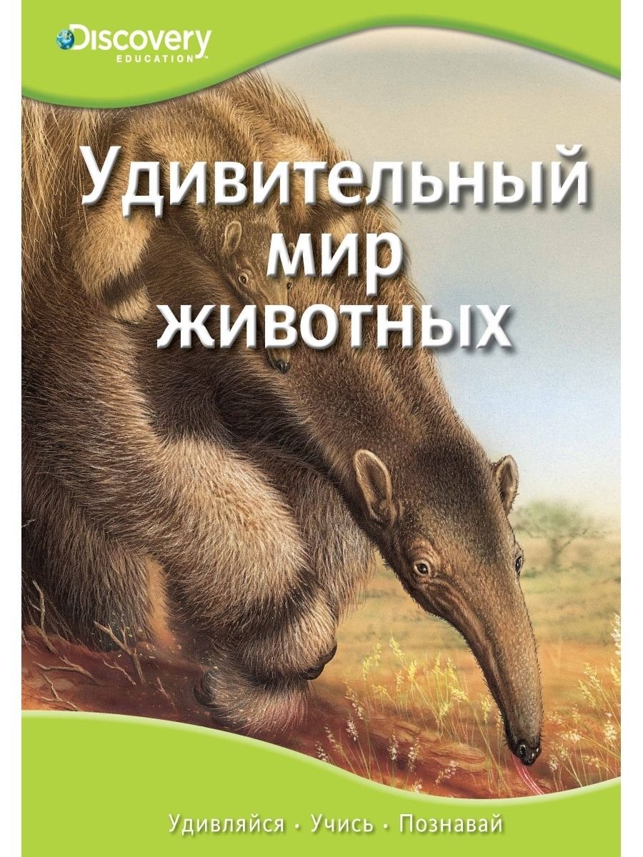 Книжка-картинка "жизнь животных"