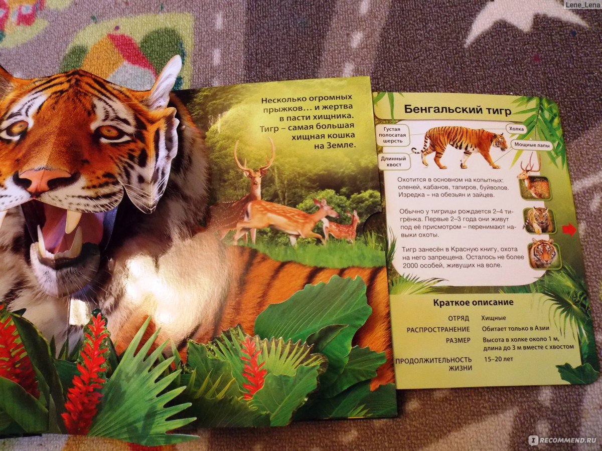 Сказки народов мира