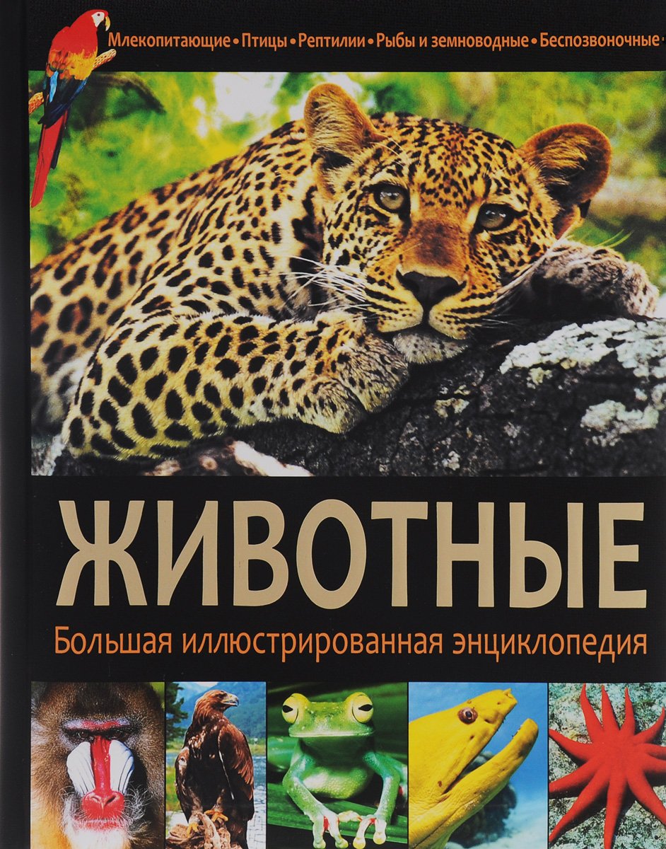 Волшебные животные и растения славян