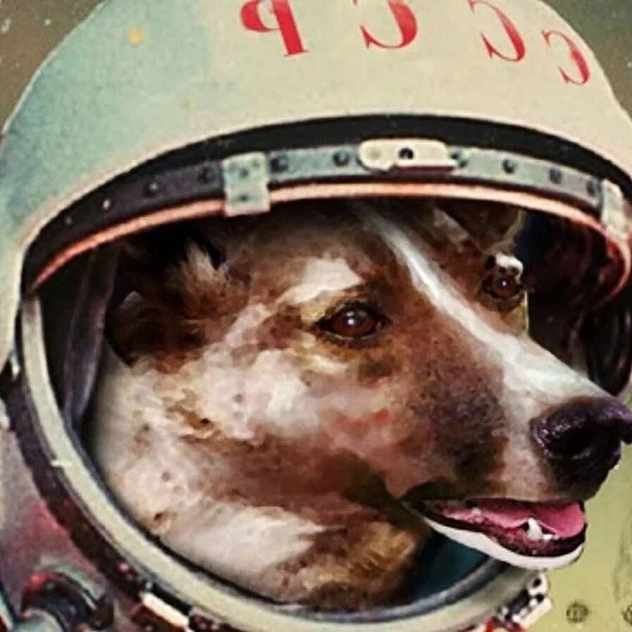 1957 Лайка в космосе