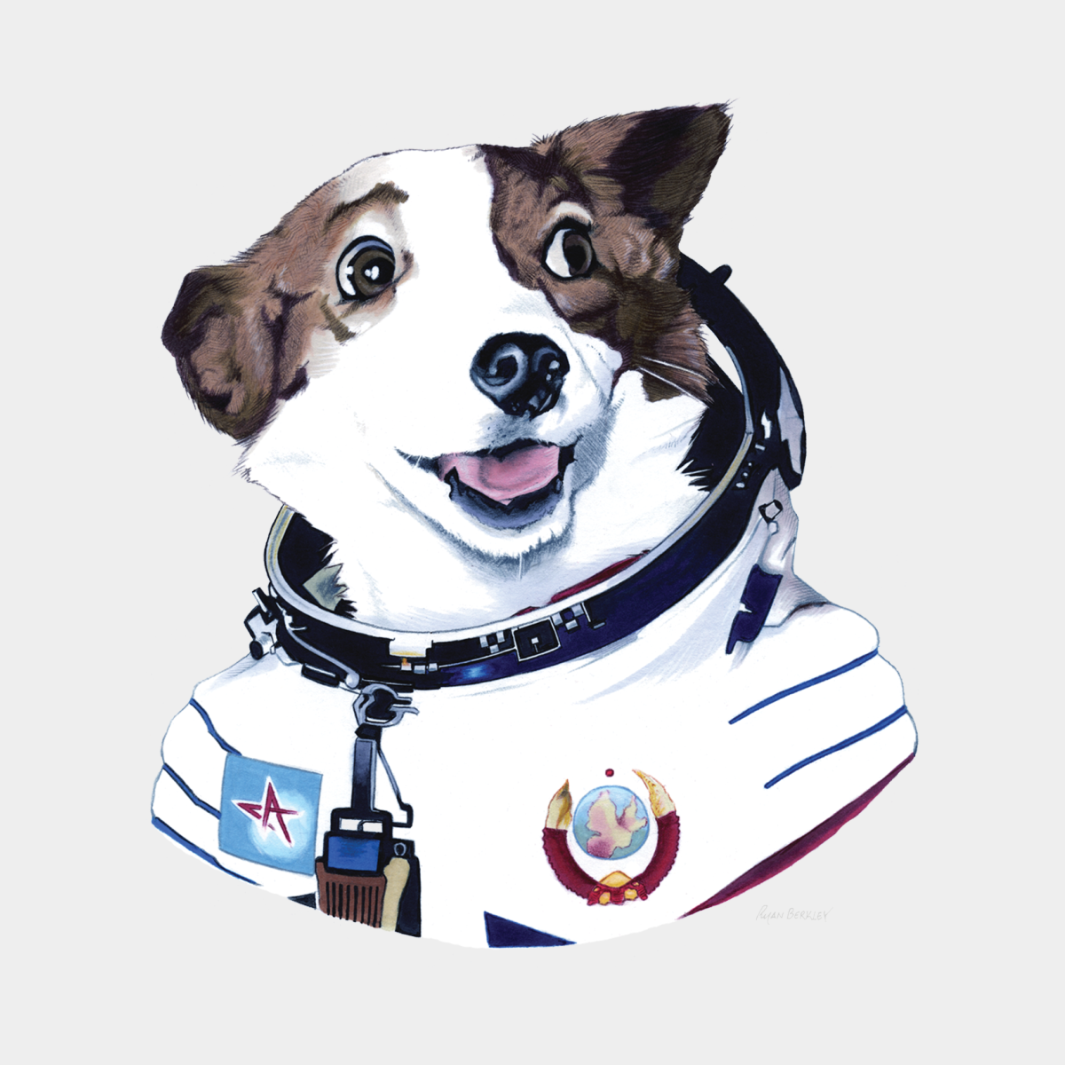 Животные в космосе