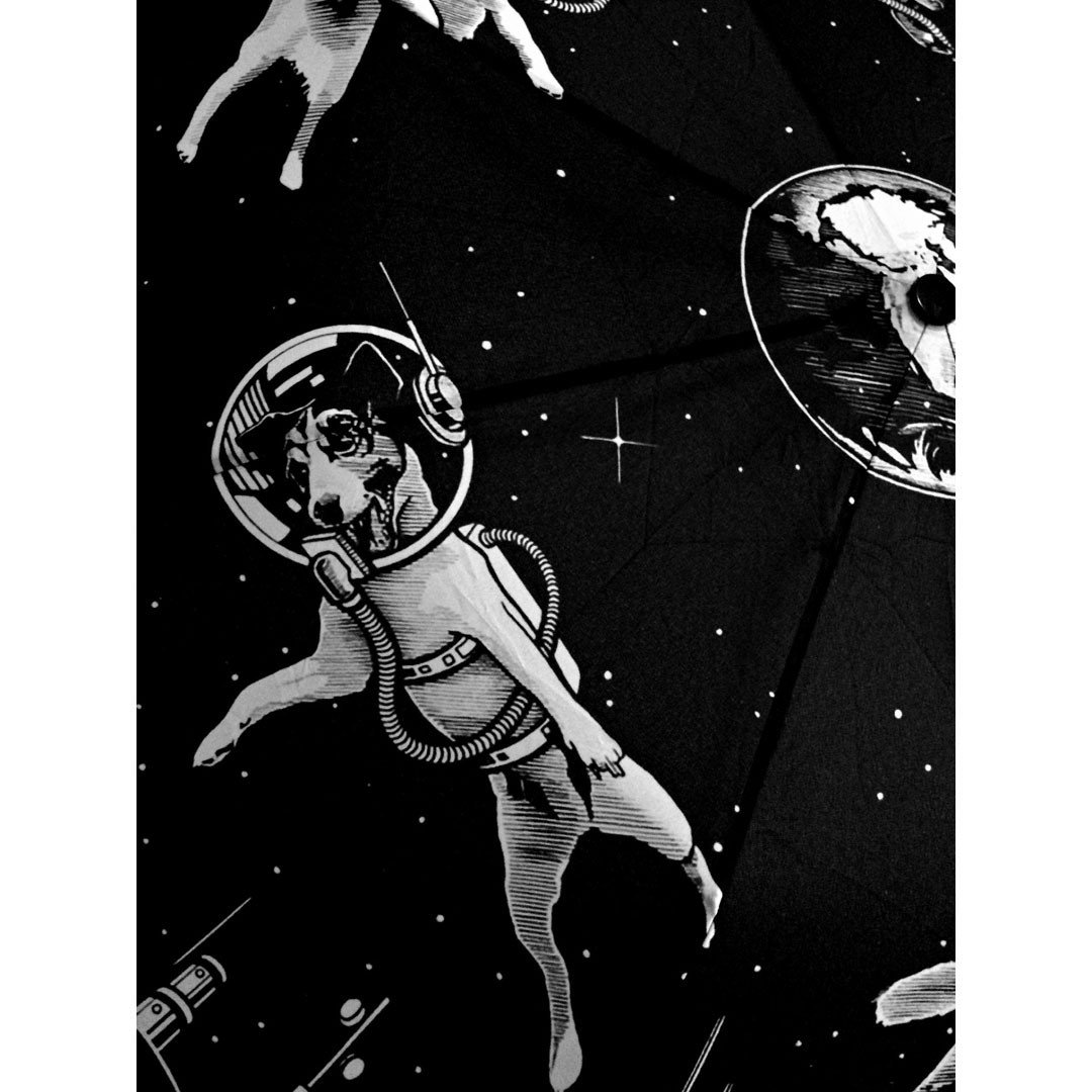 Собака космонавт арт