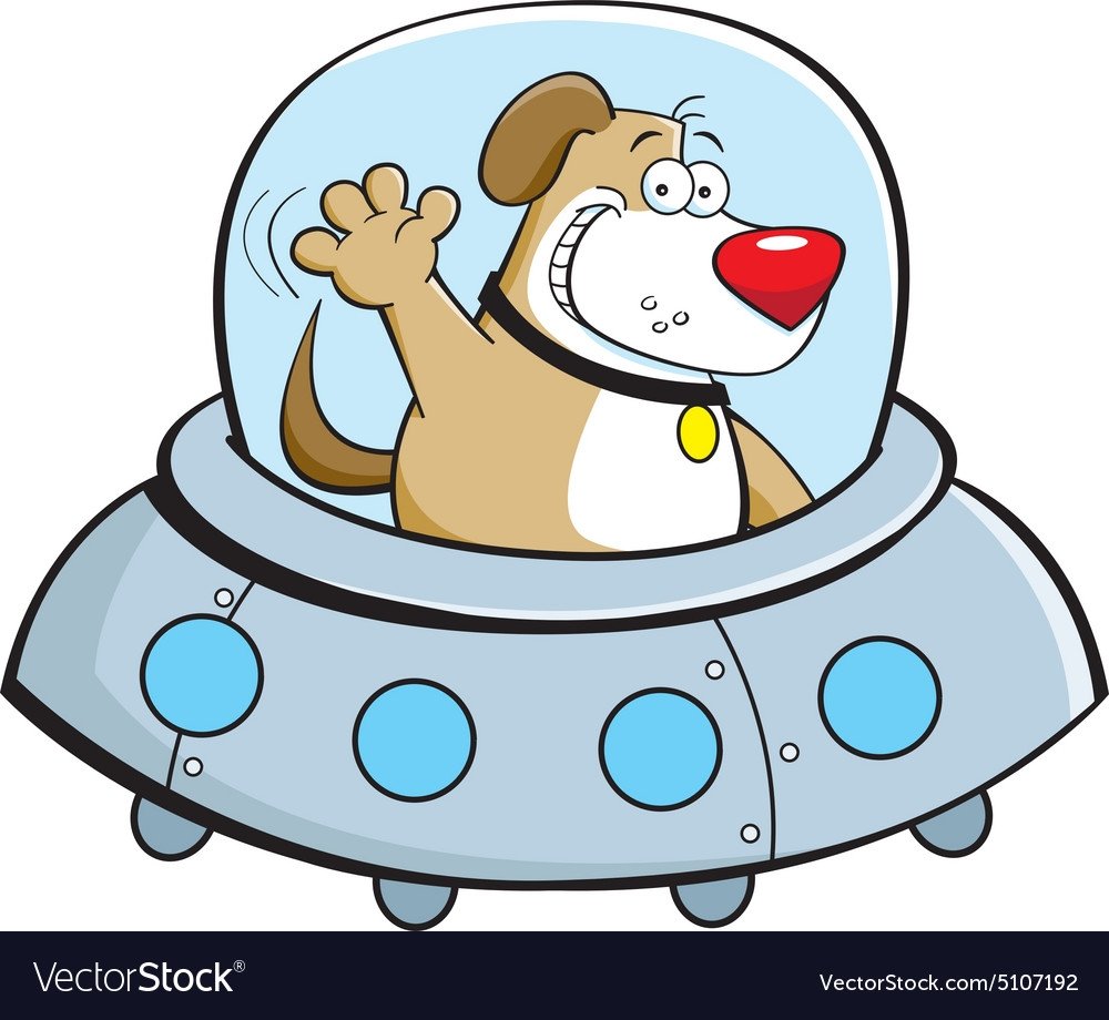 Белка и стрелка мультфильм