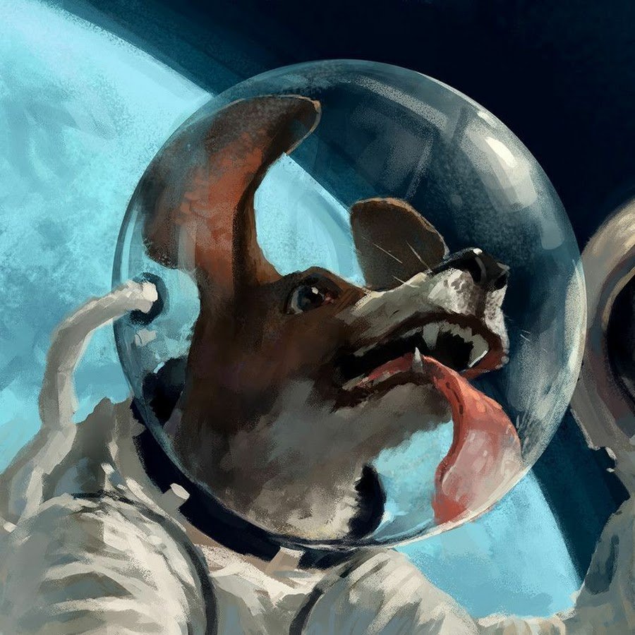 Собака в скафандре