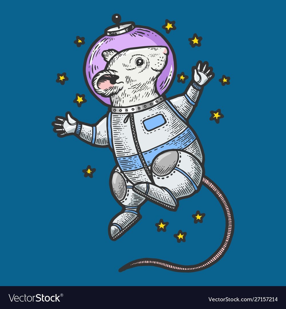 Собаки космонавты