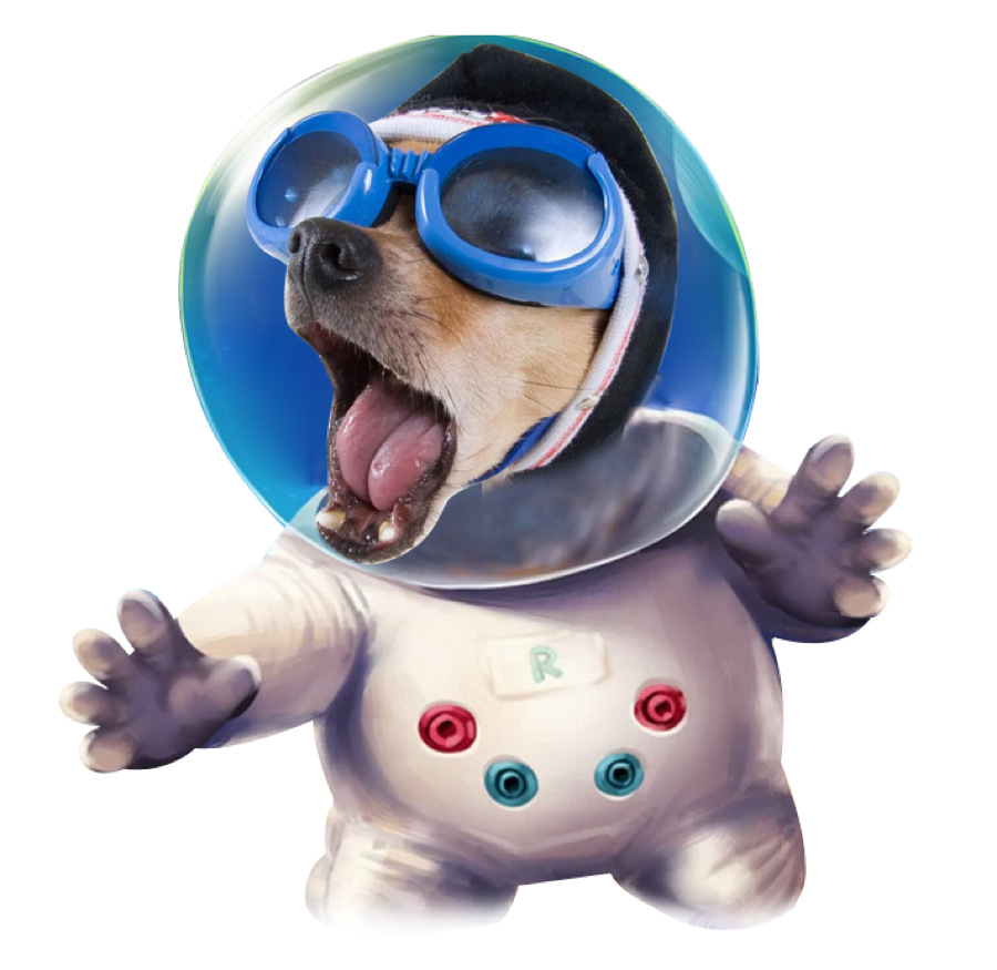 Собаки ветерок и Уголек в космосе