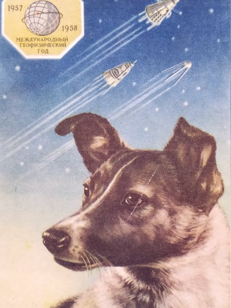 С днем космонавтики открытки с собаками