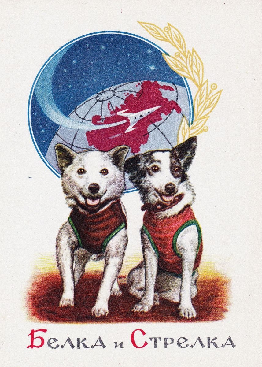 Животные в скафандре