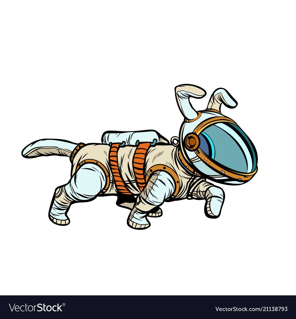 Мопс космонавт