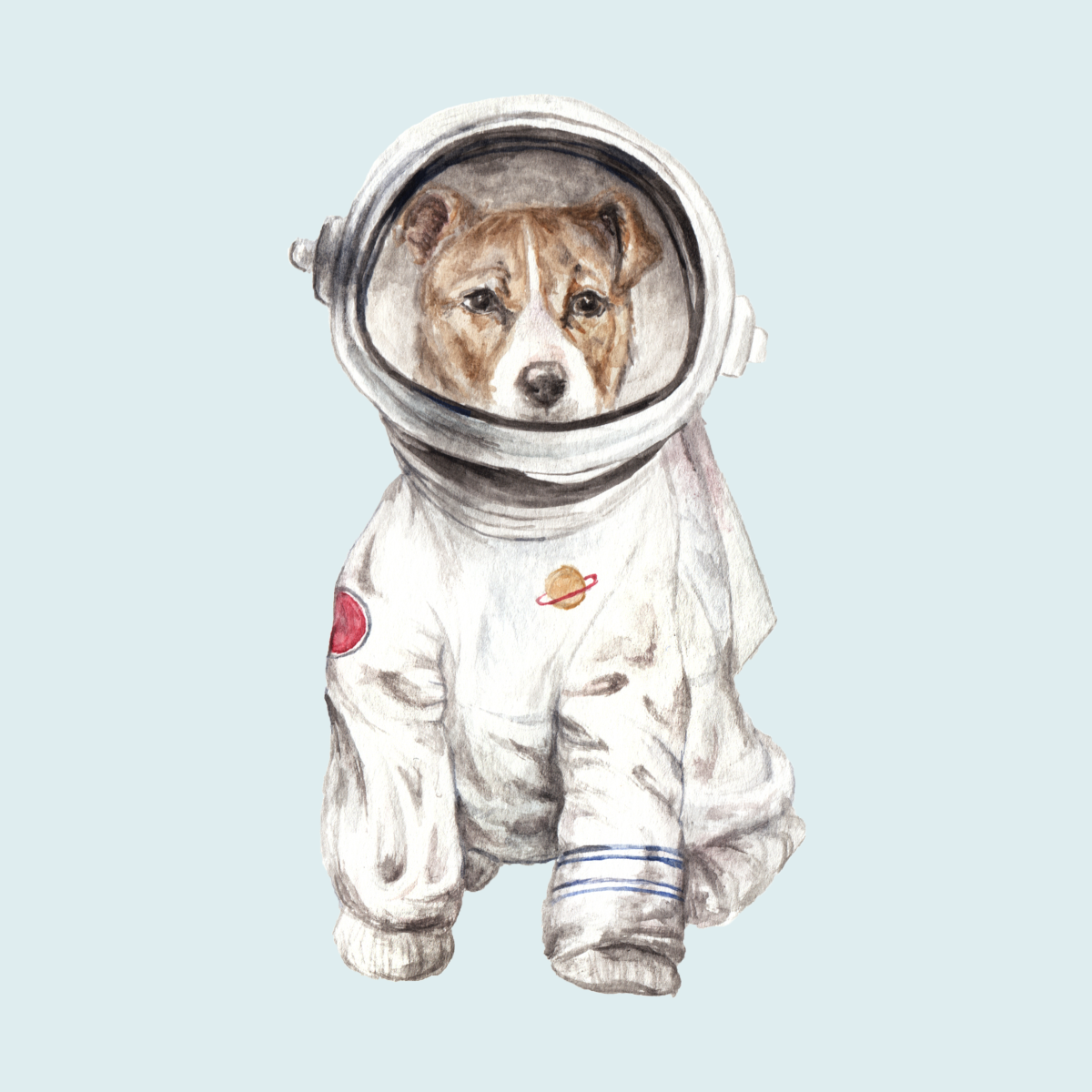 Белка и стрелка полет в космос