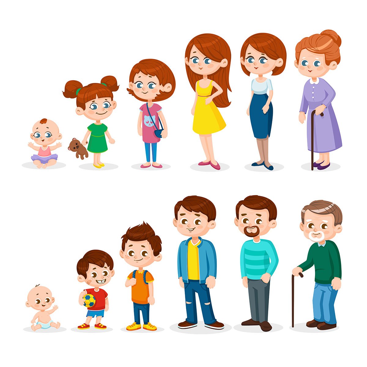 Этапы взросления человека для детей