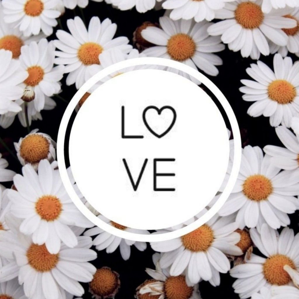 Ромашка иконки для инсты