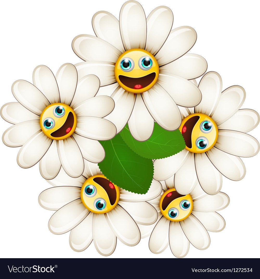 Ромашка с улыбкой