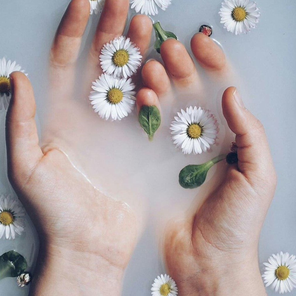 Ромашка на ладони