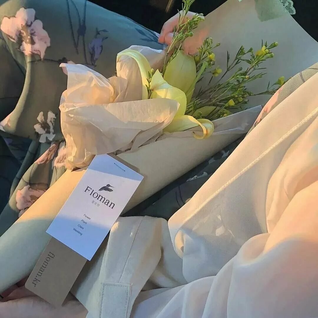 Эстетика персикового цвета