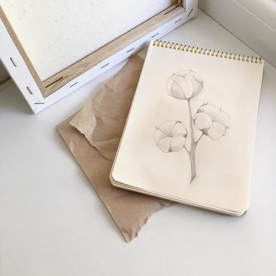 Эстетика бежевого