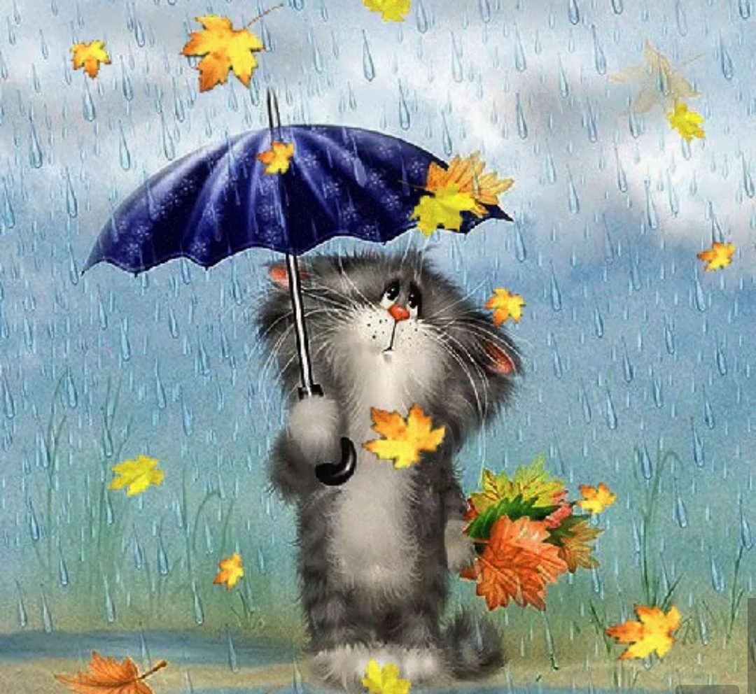 Хорошего настроения в дождливую погоду