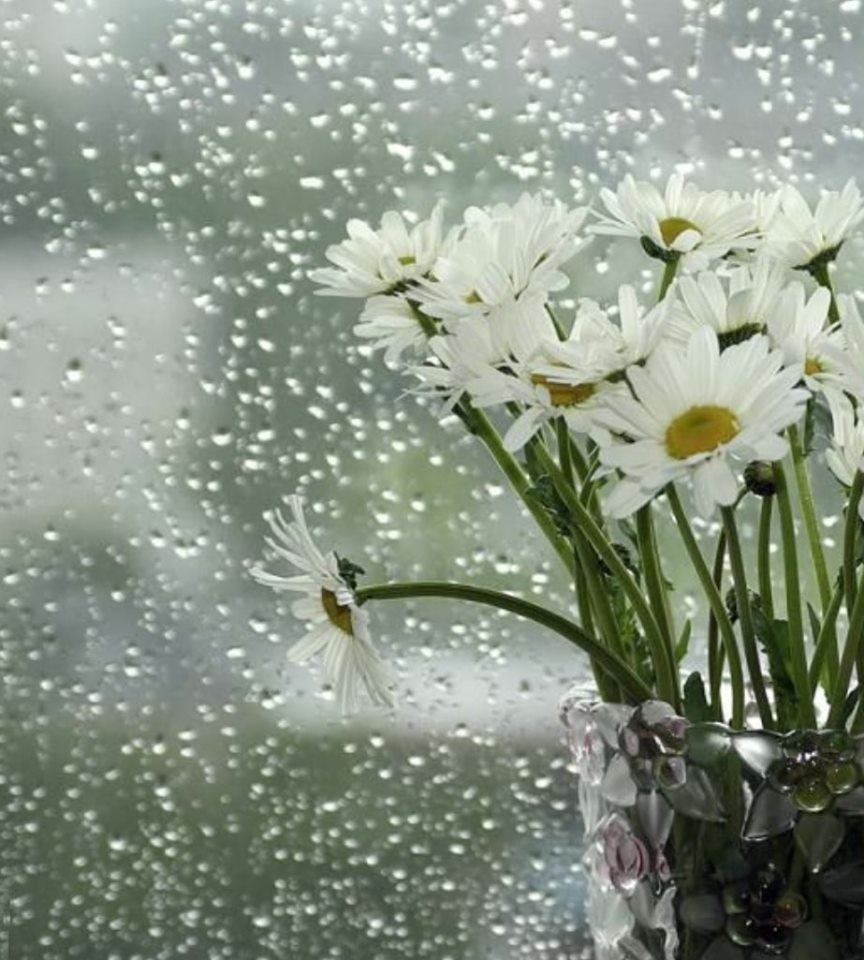 В любую погоду доброго дня картинки