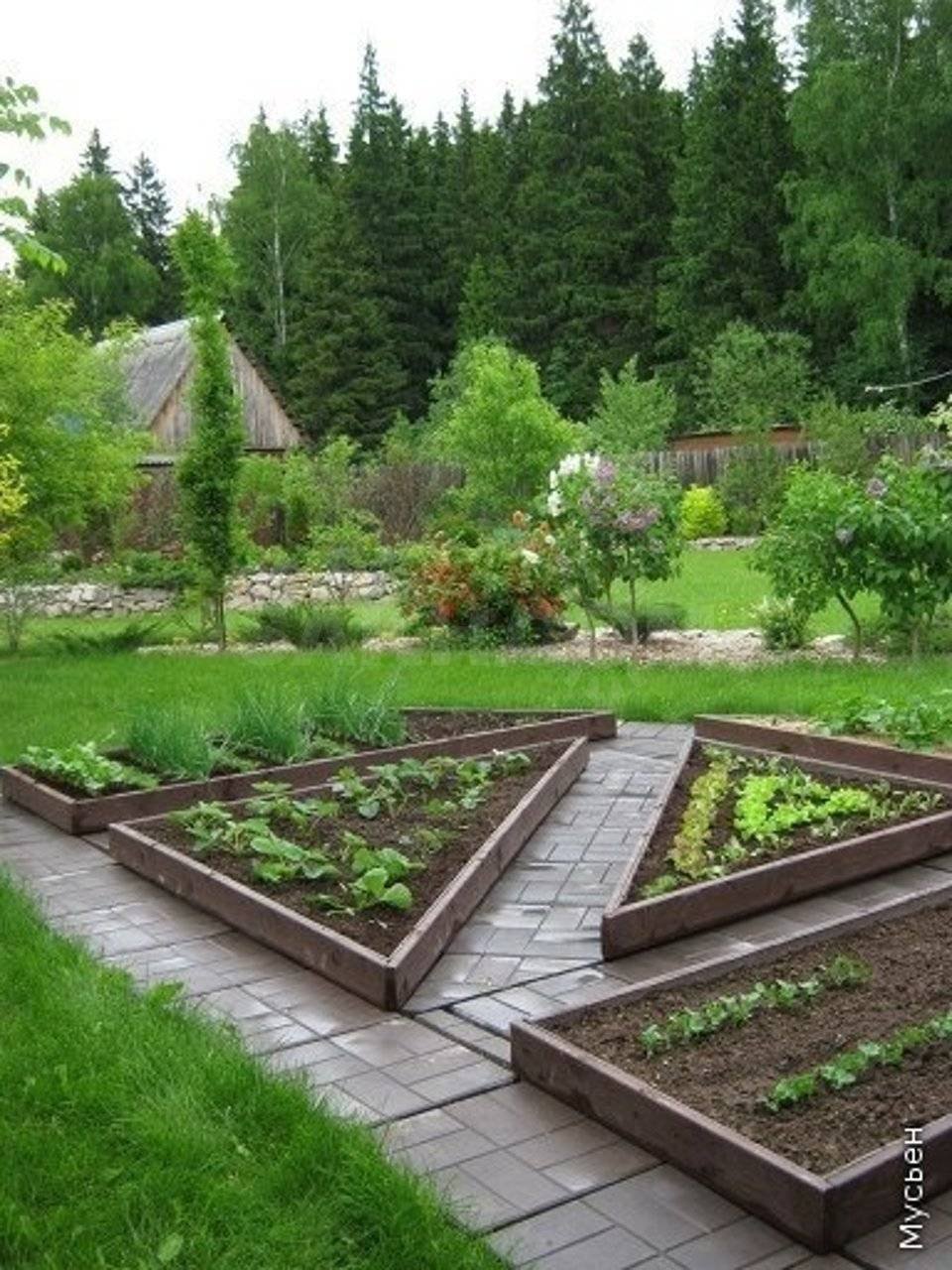 Французский огород Зоя Козичева