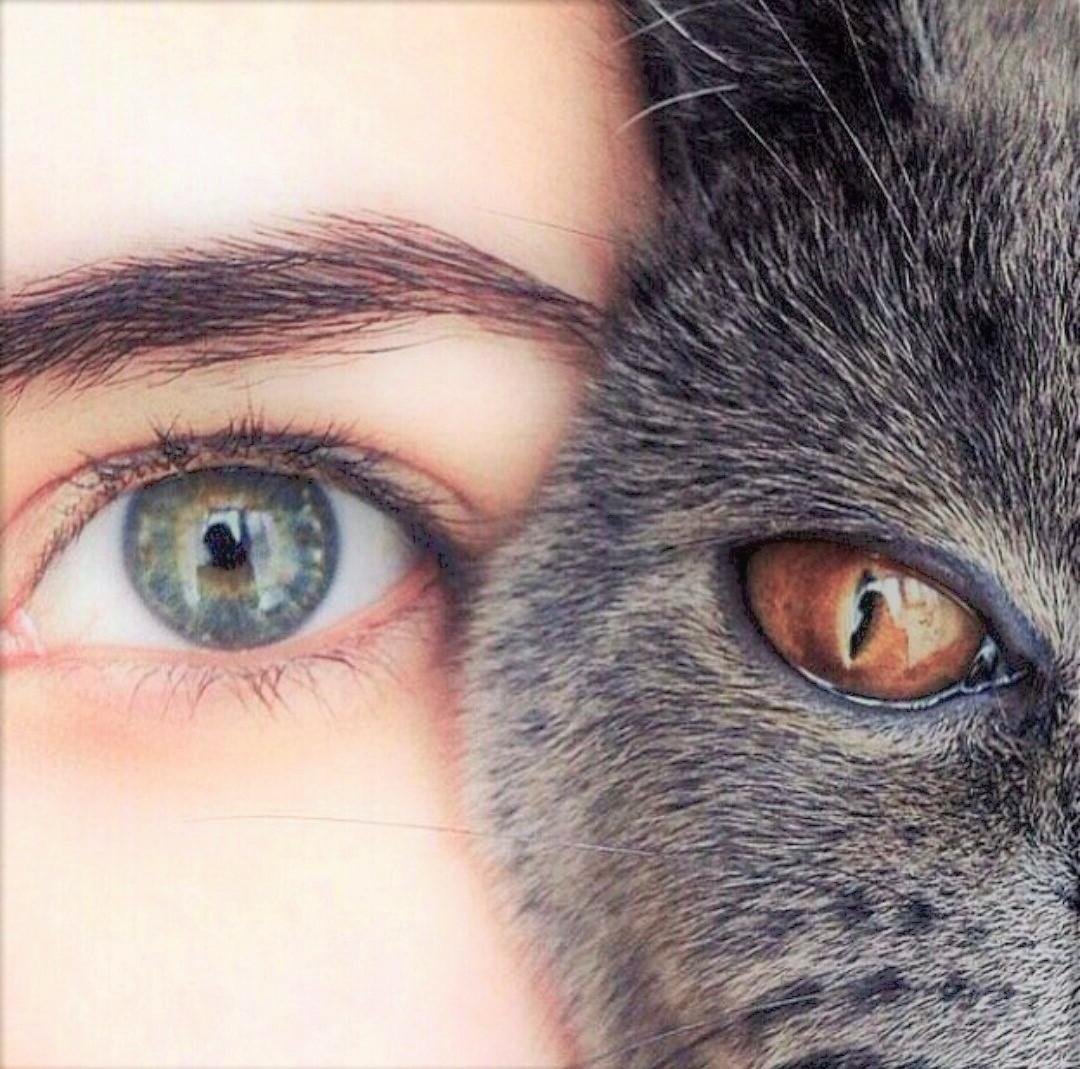 Макияж Эстетика