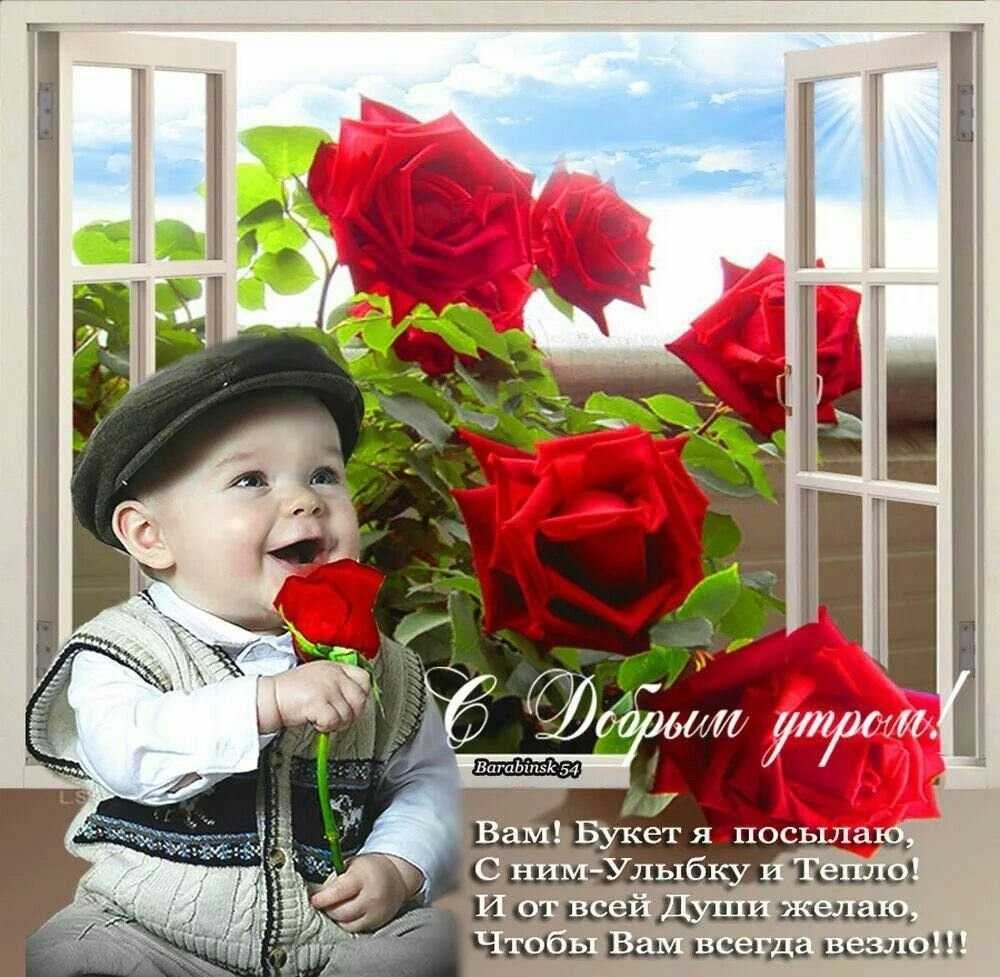 Радость новому Дню