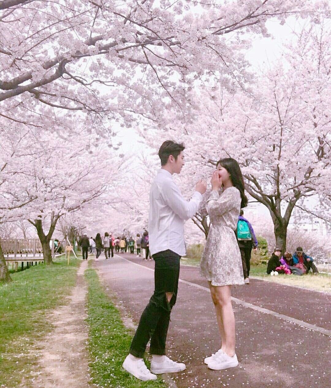 Корейская парочка в парке