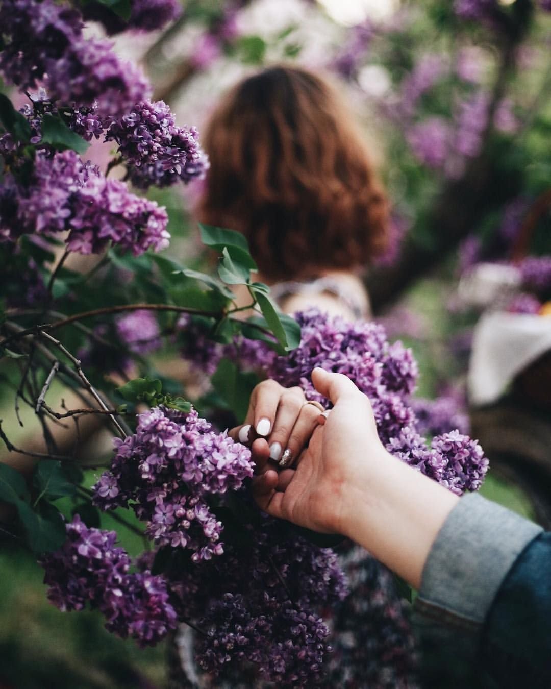Цветы в руках сиреневые