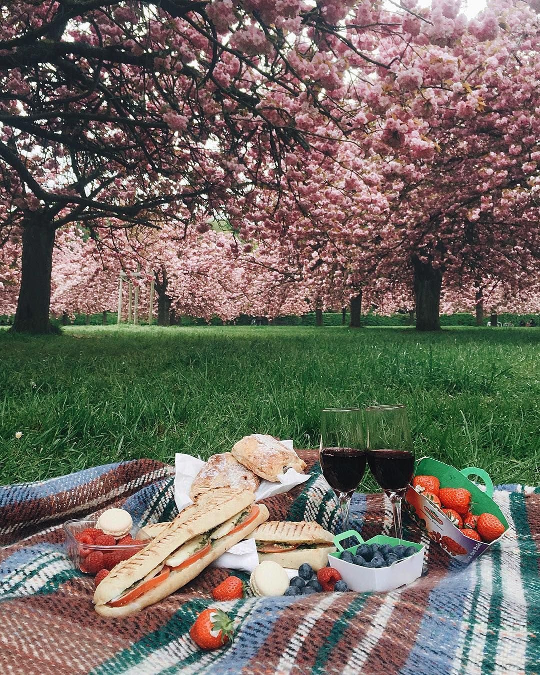 Пикник в парке