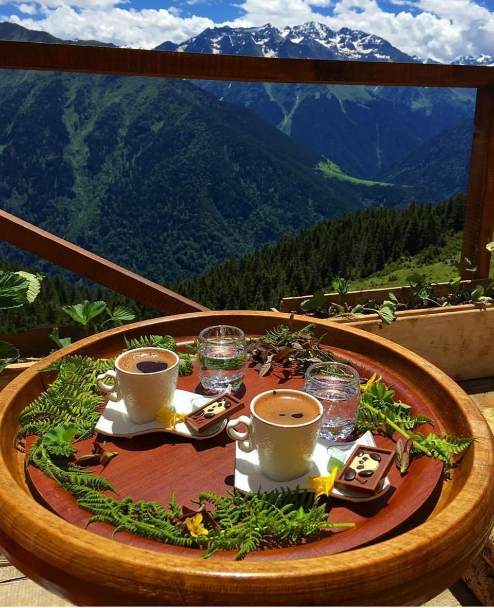 Чай на природе