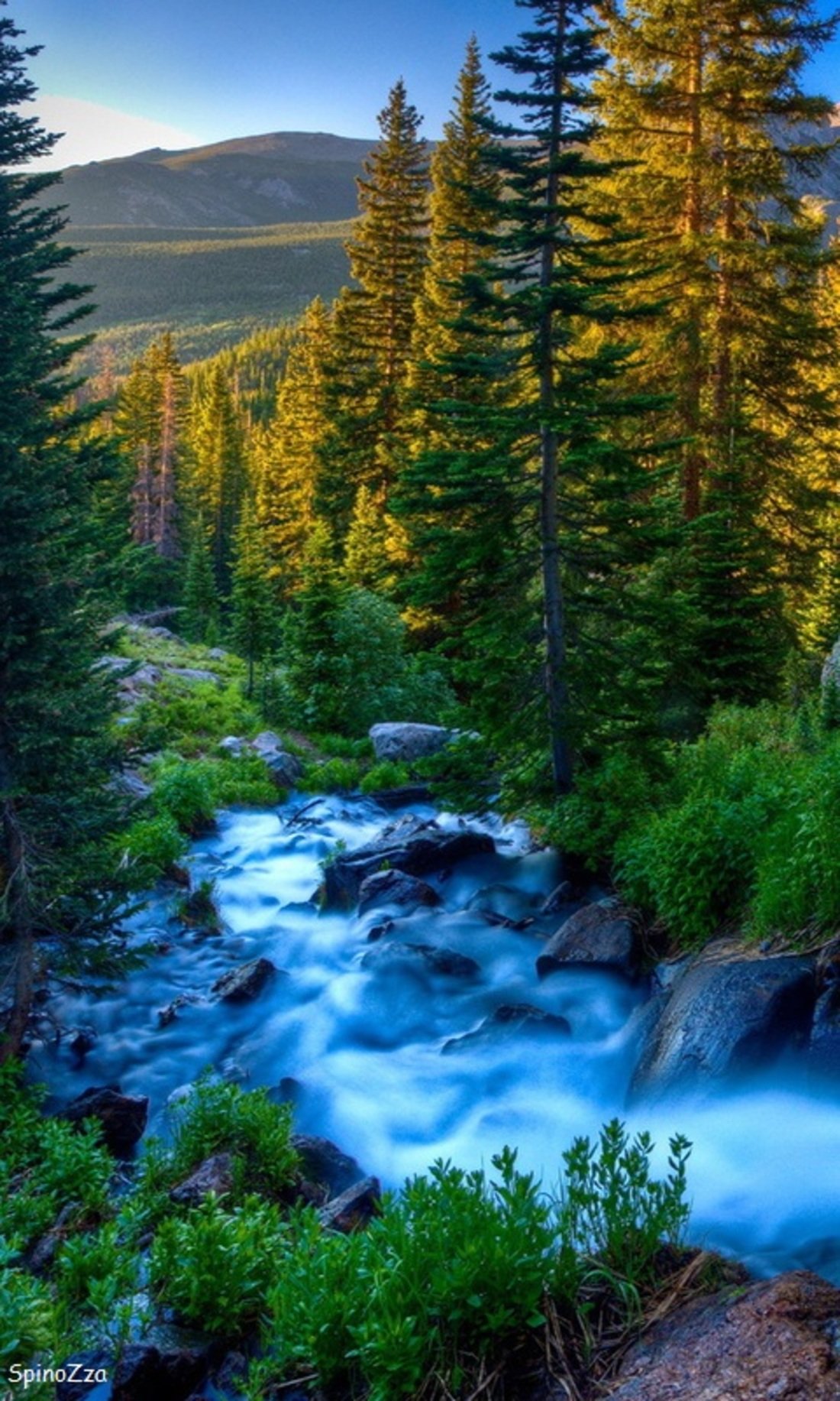 Природа вертикальные