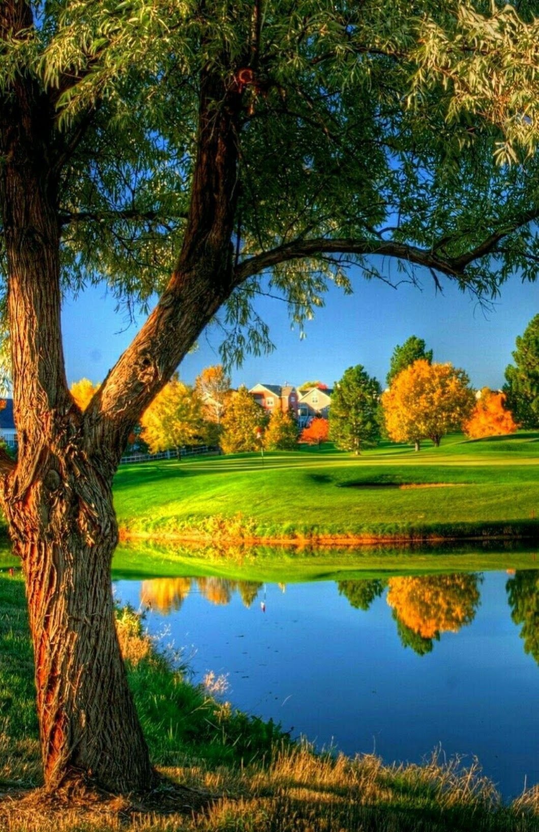 Летние пейзажи природы