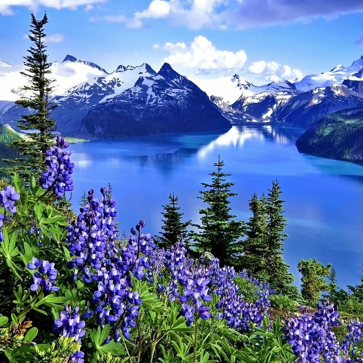 Канадские скалистые горы: Альберта, Британская Колумбия