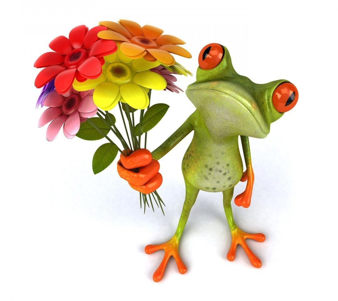 Прикольные поздравления с днем рождения