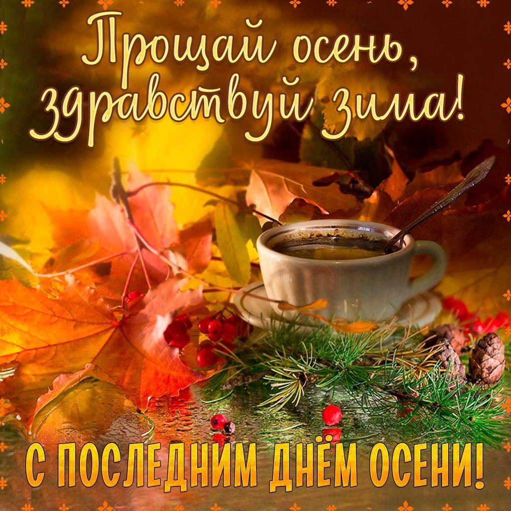 Здравствуй, ноябрь, последний месяц осени