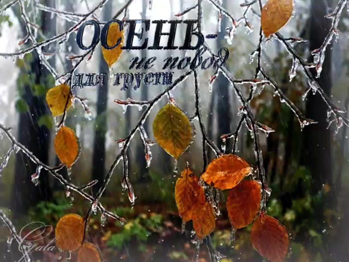 Хорошего понедельника осень