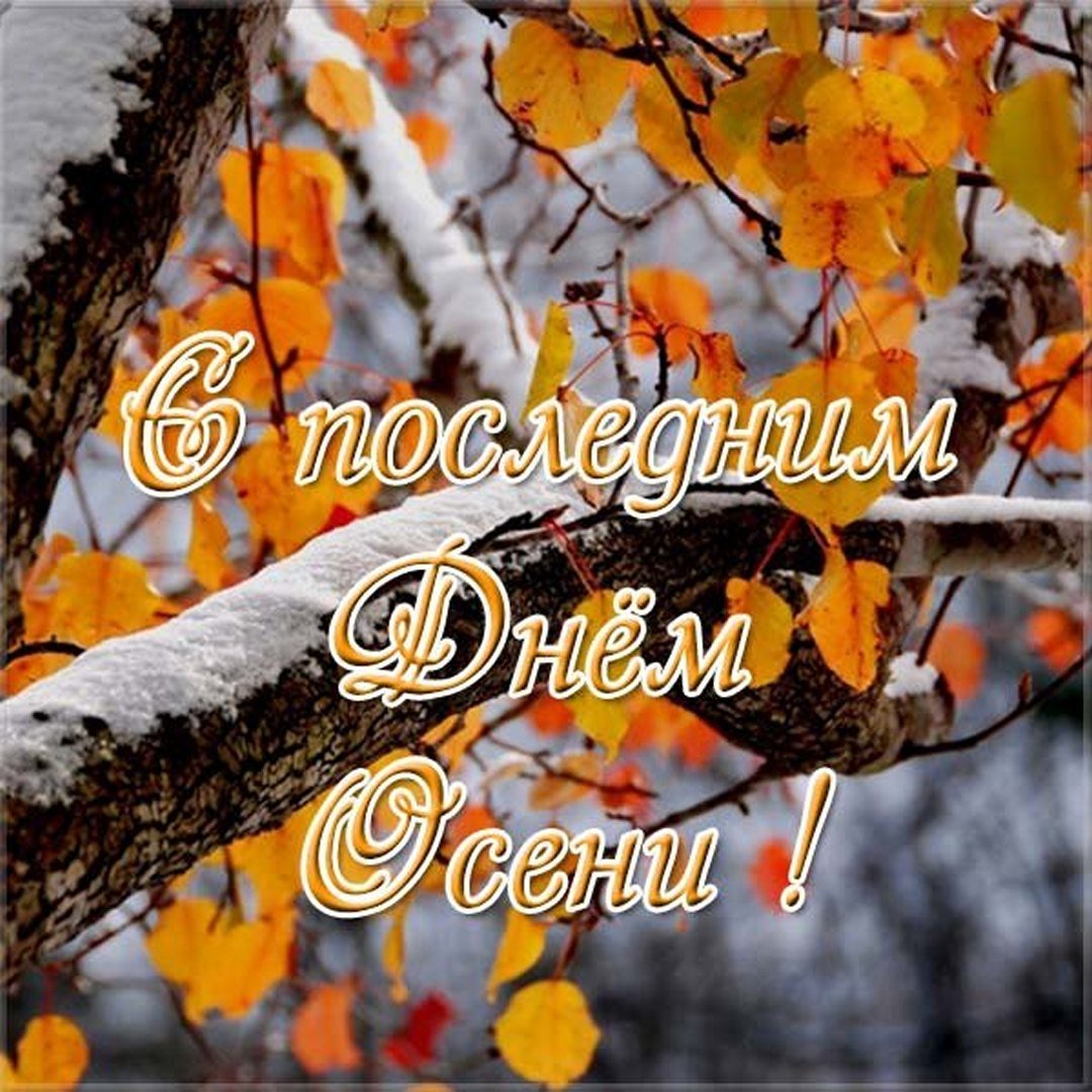 Доброго ноябрьского дня