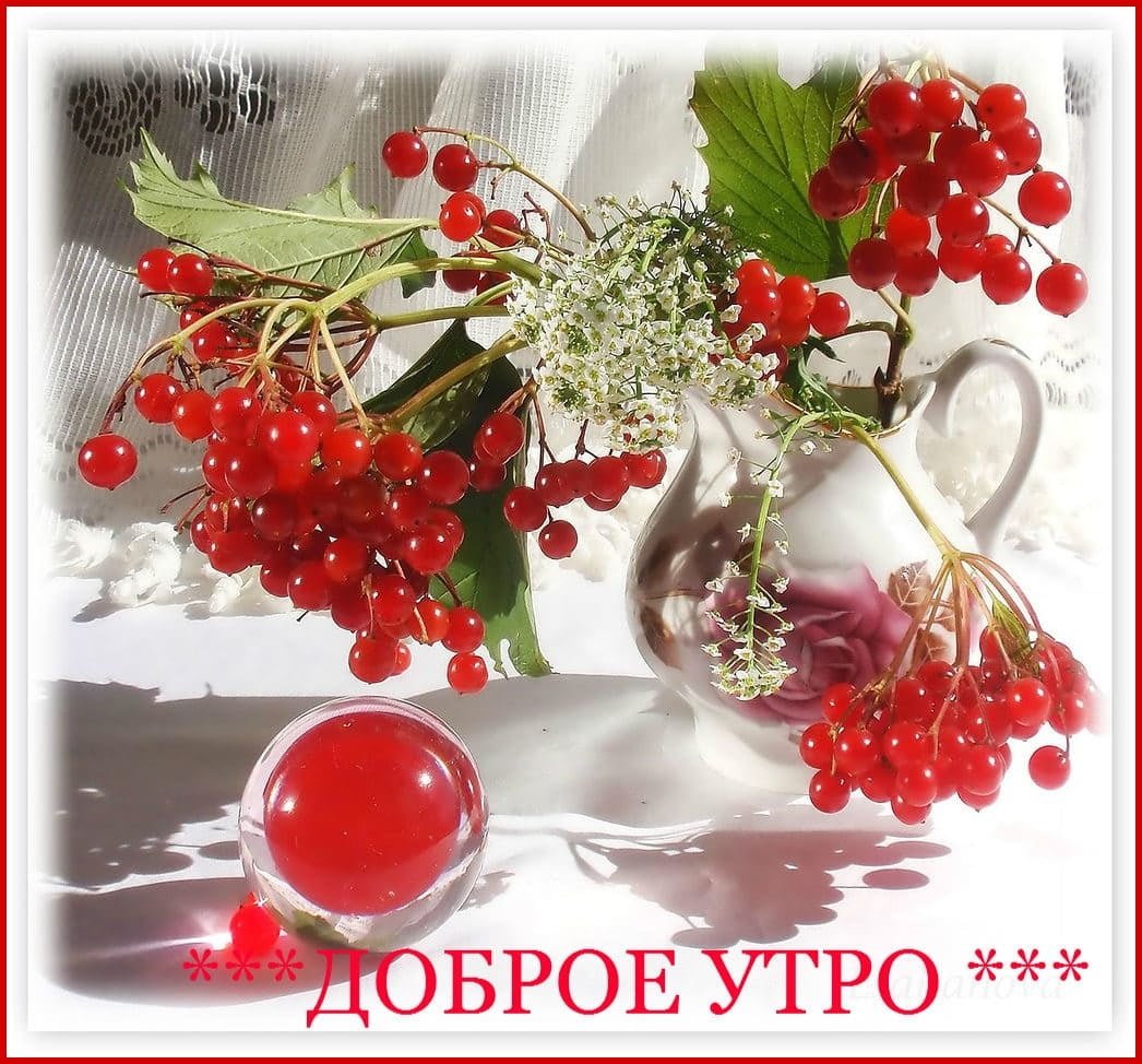 Добрый день осень