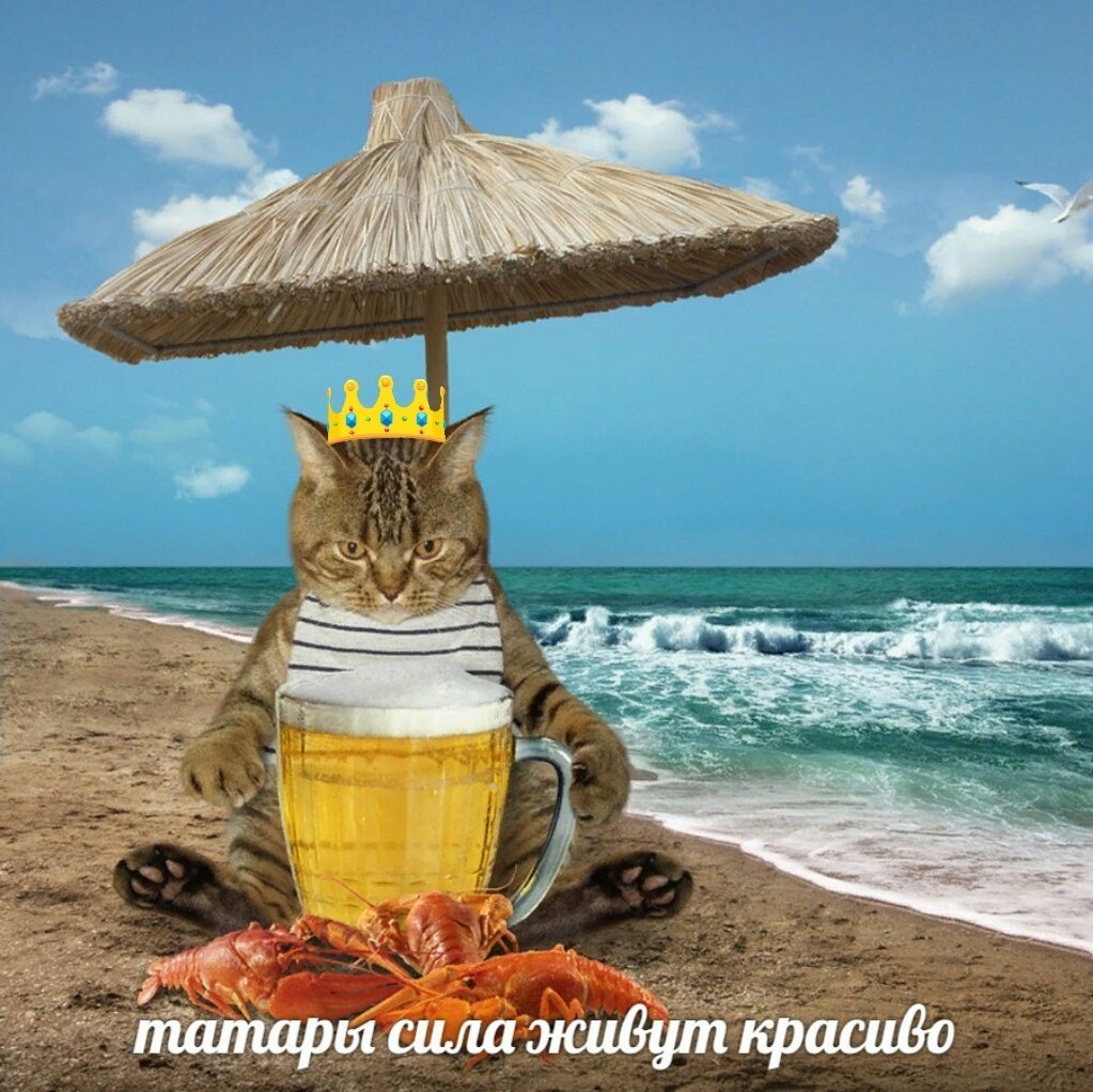 Кот отдыхает