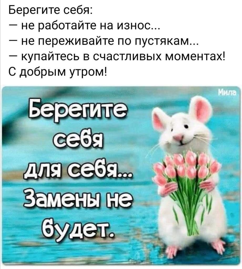 Приколы про закуску и выпивку