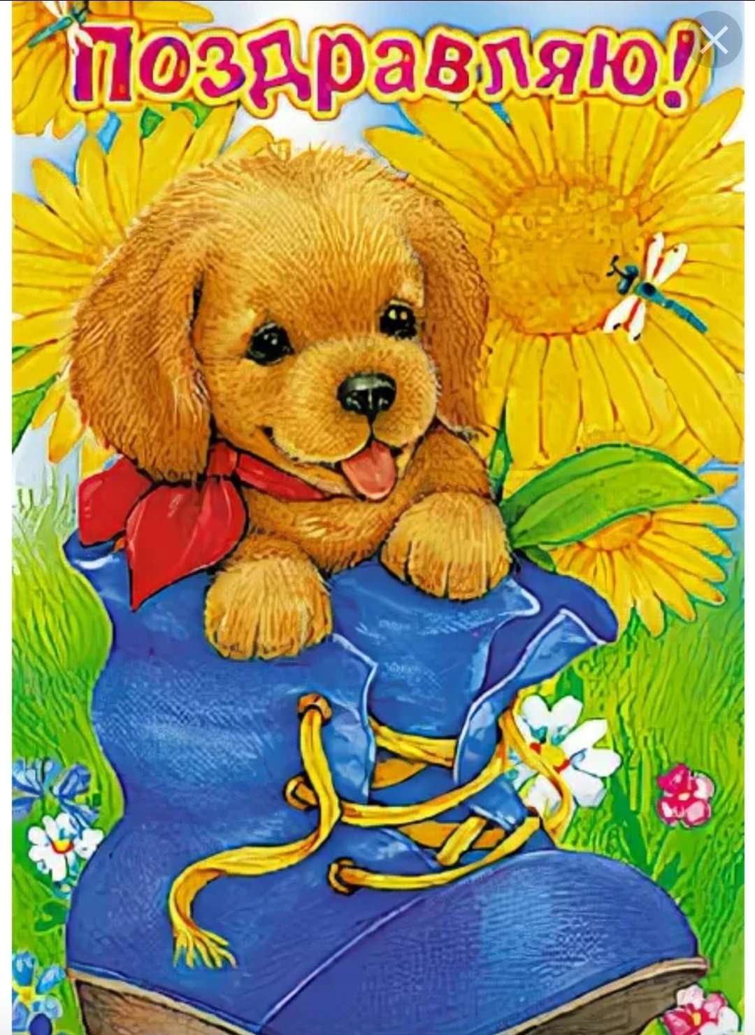 Радость поздравление