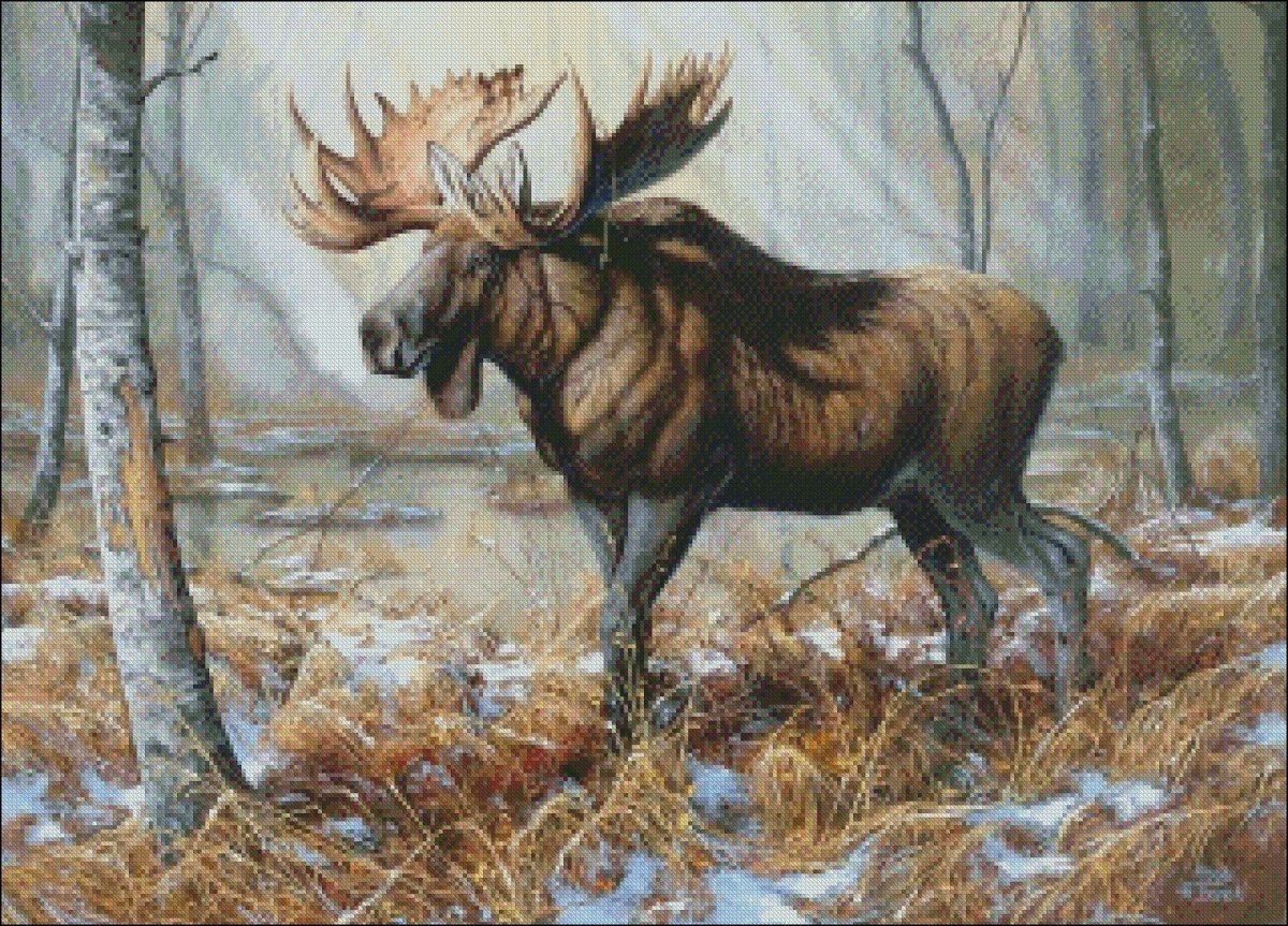 Татьяна Данчурова олень