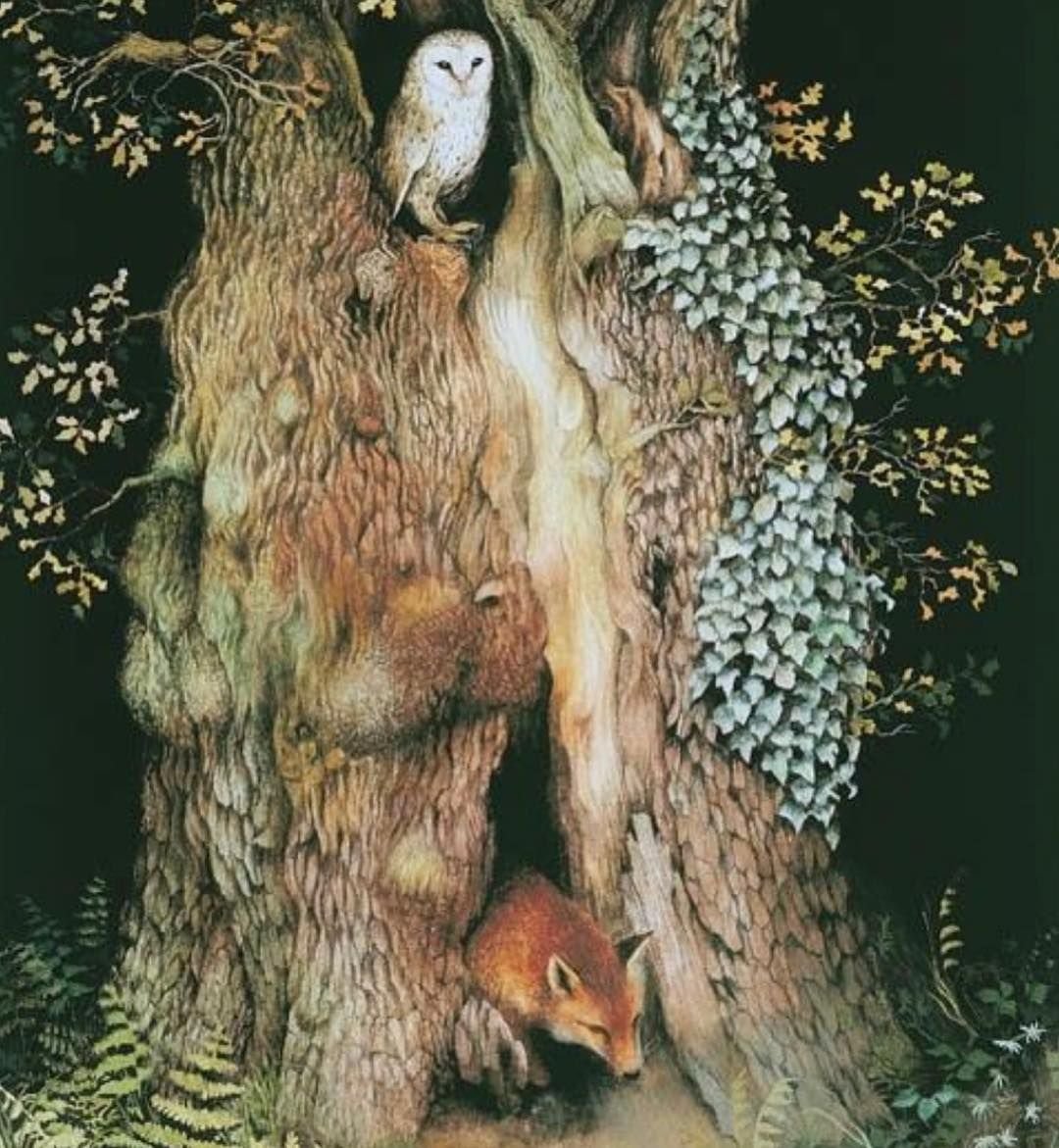 Белка в дупле для детей